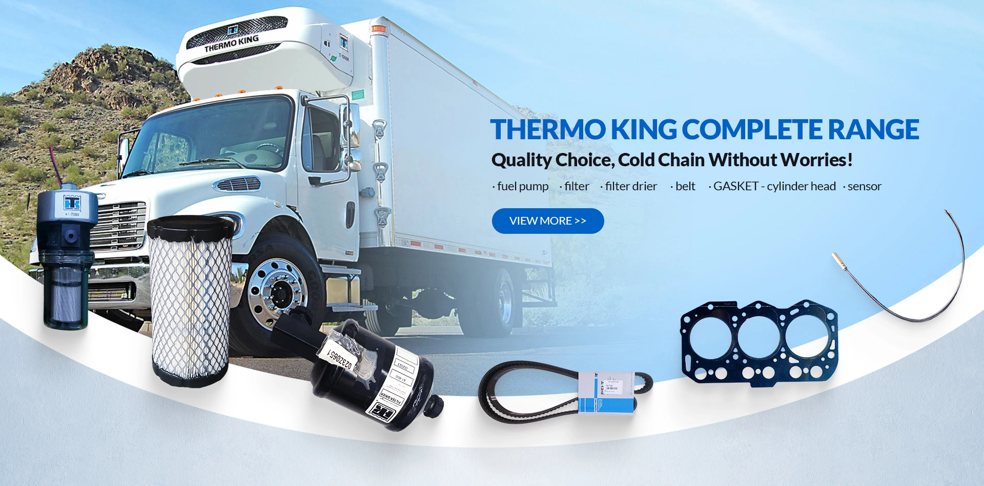 Thermo King Spare Parts,Carrier Spare Parts,Fuel