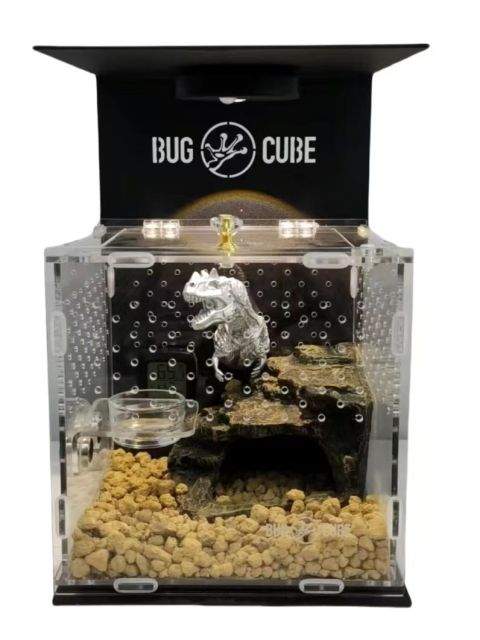 Caixa de criação de acrílico