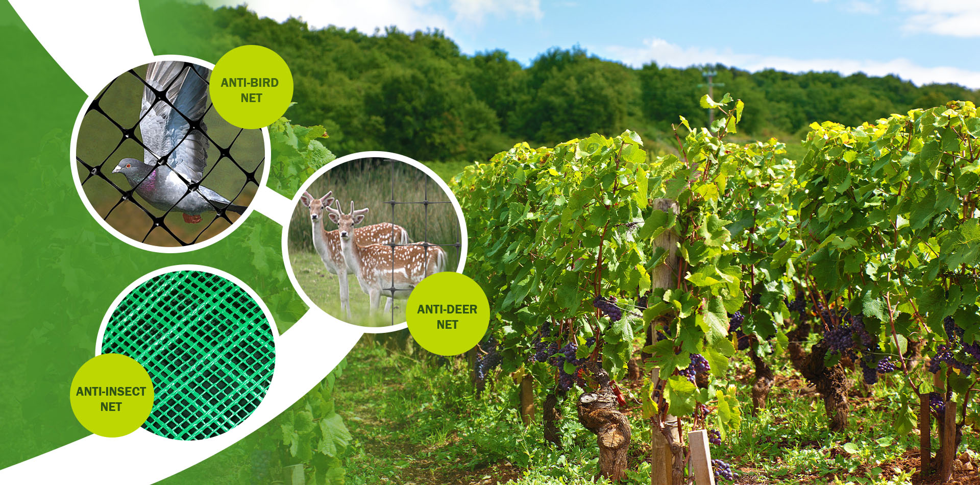 COFCO HEBEI INTERNATIONAL TRADING CO.,LTD.