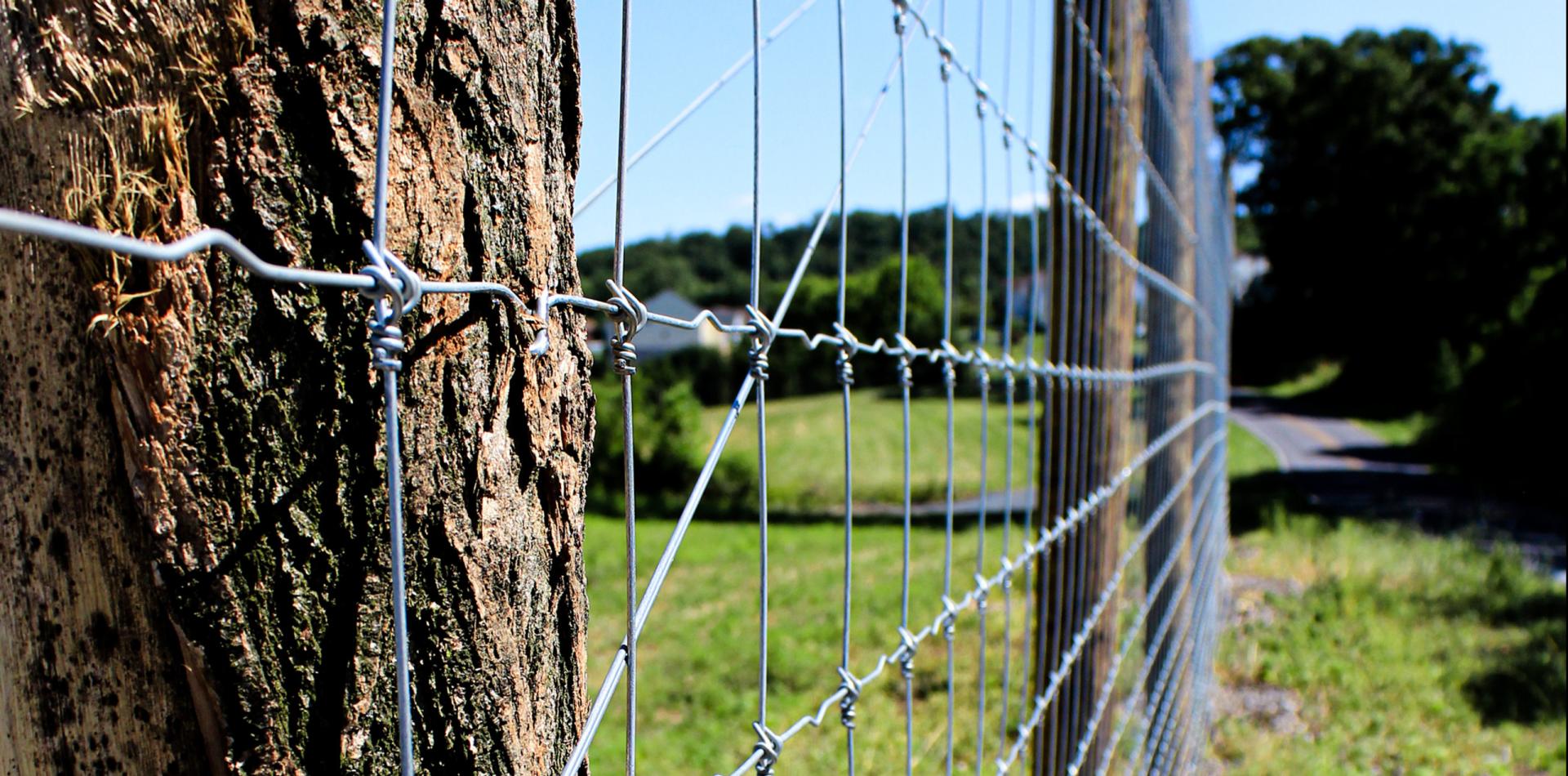 fixed knot woven wire fence fabric.jpg