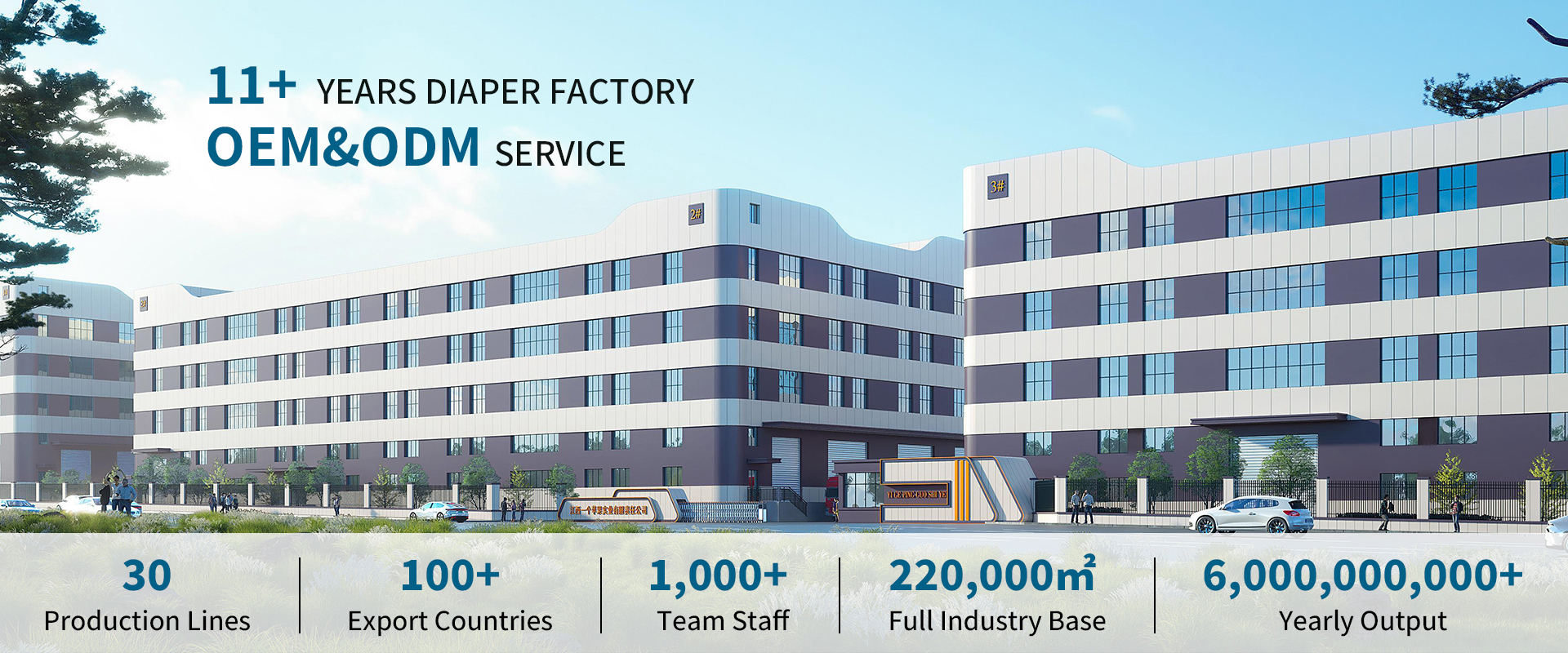 More than 10 years Experience