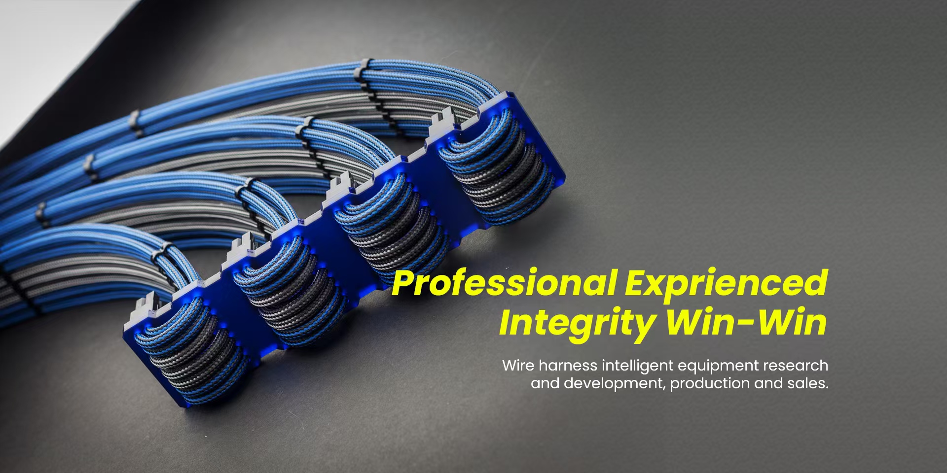 Hongkong Suntex Electronic Co., Ltd.