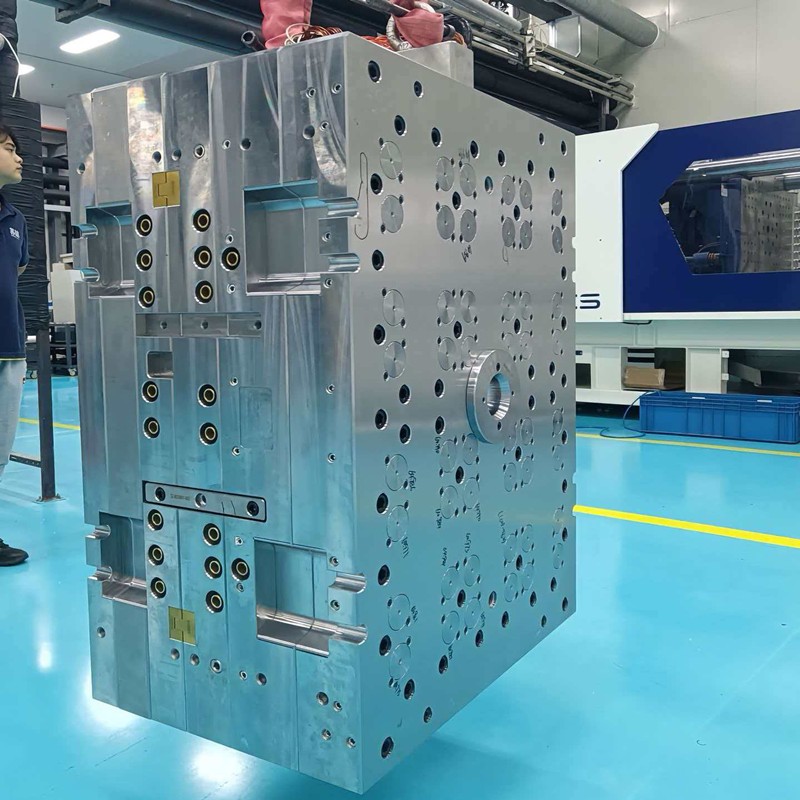 Precision injection mold cases