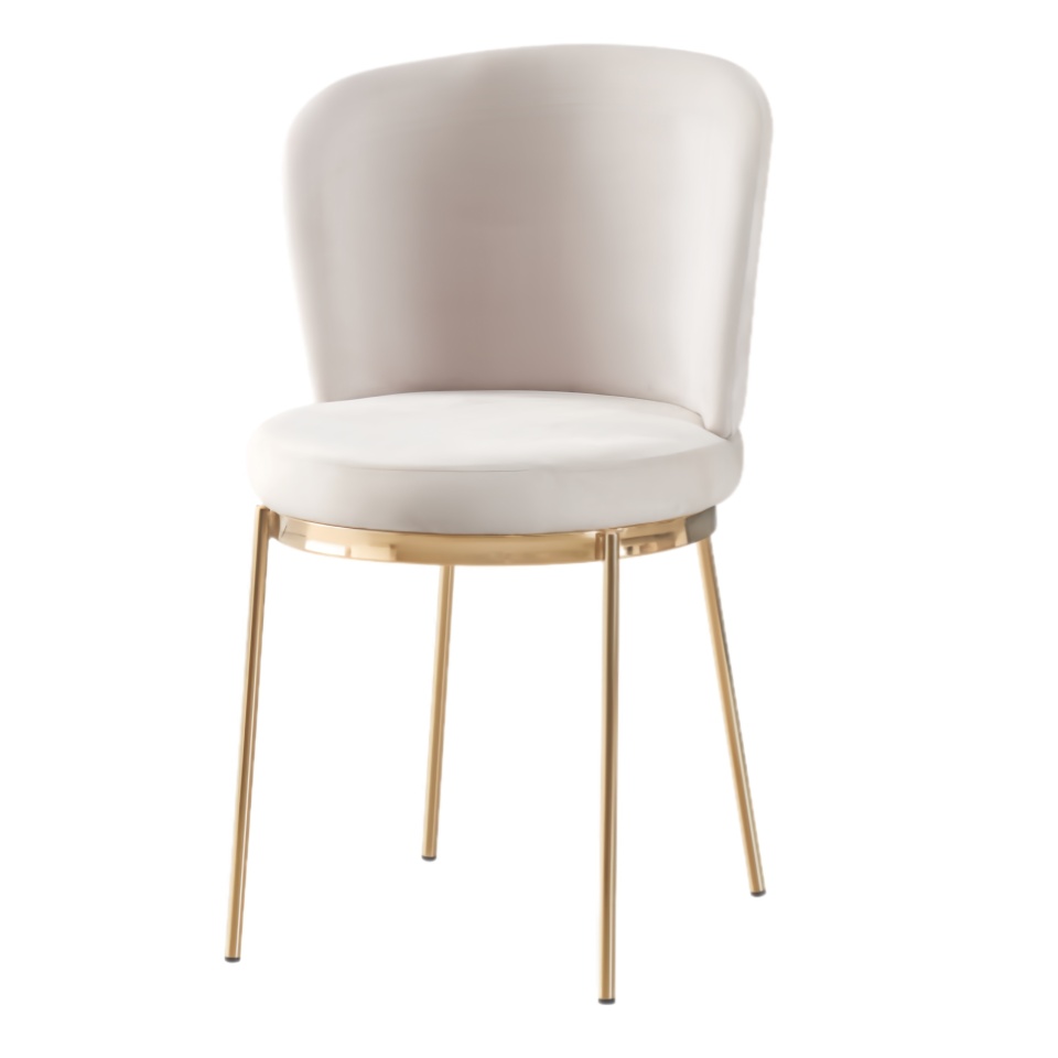 Bribrion International Trade Company Limited