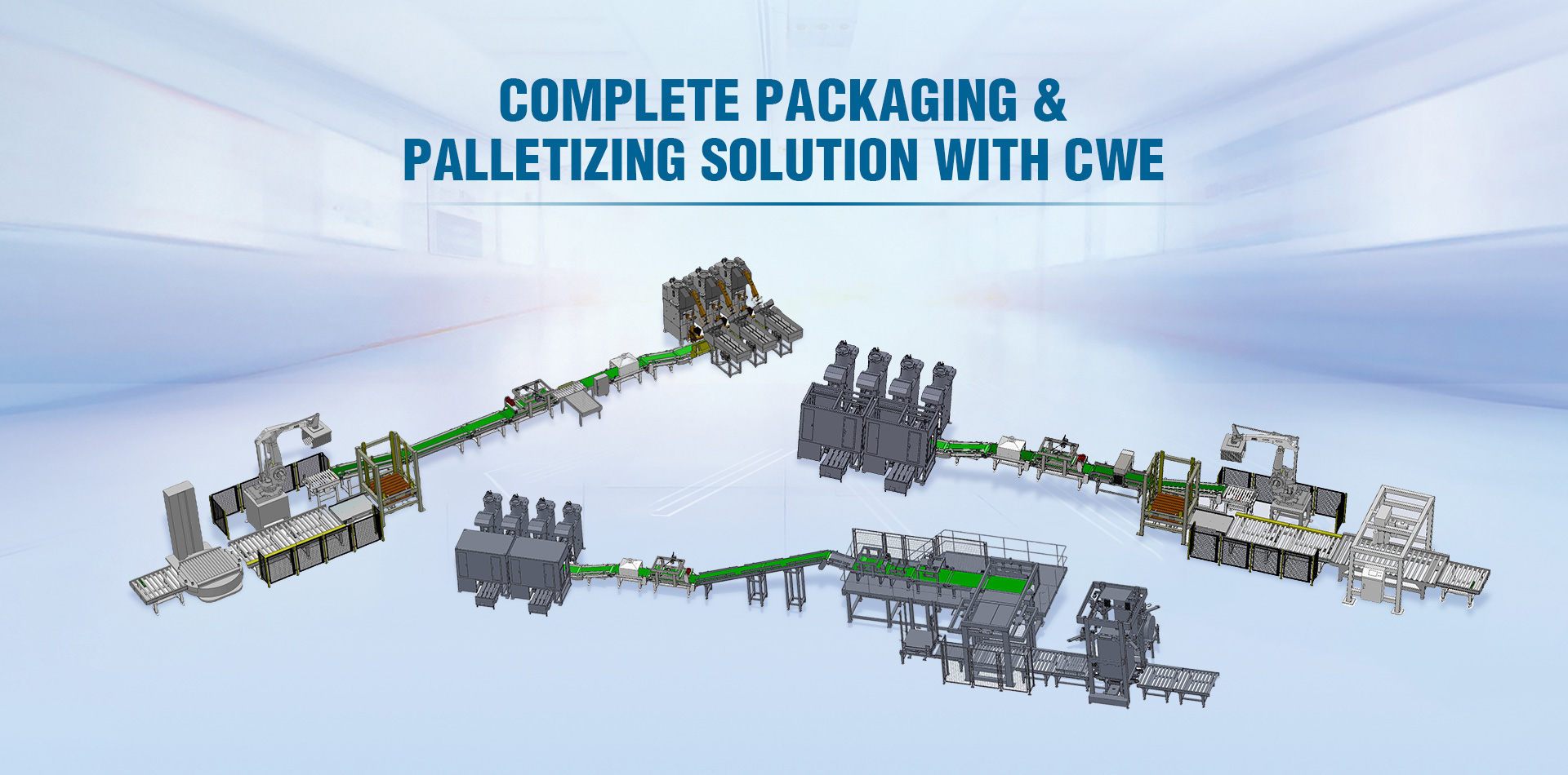 CHINA WEIGHING EQUIPMENT CO., LTD