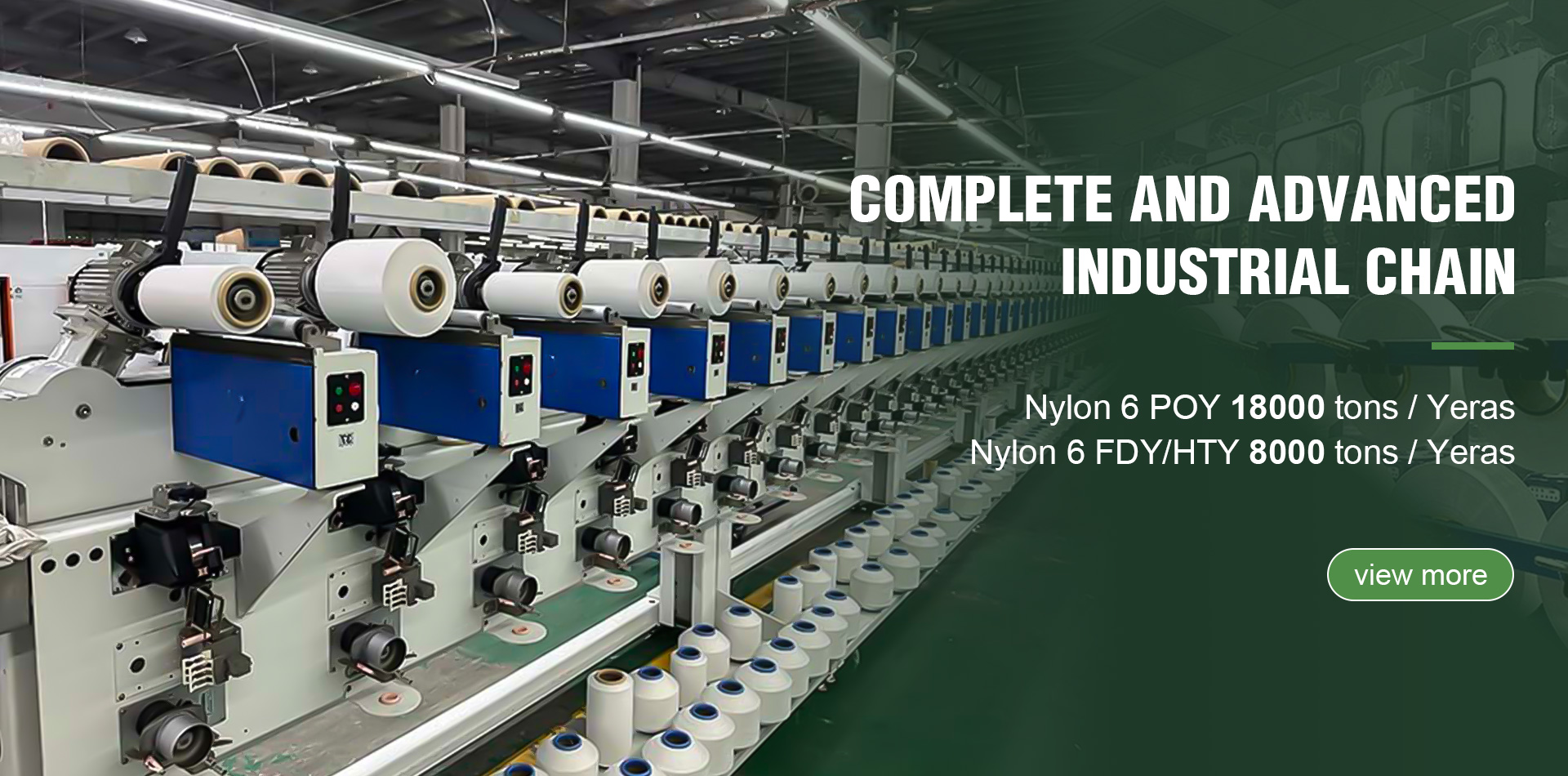 Polyester Industrial Yarn
