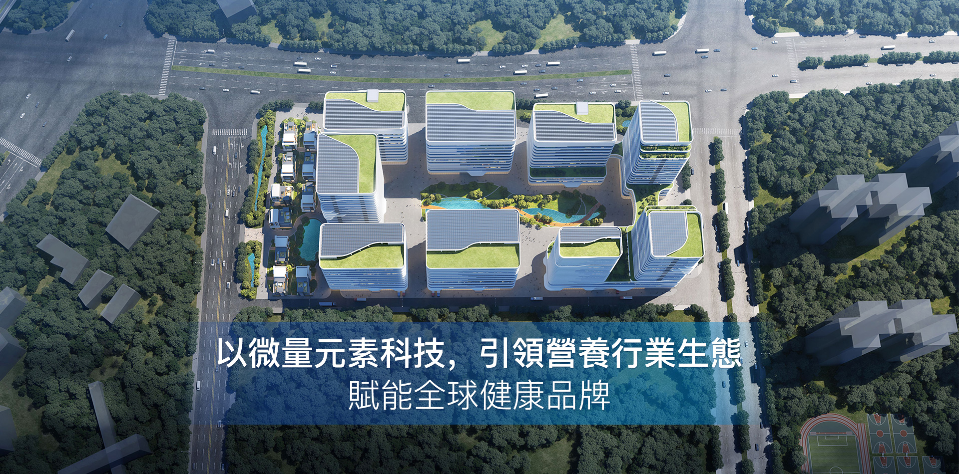 画板 2 拷贝.jpg