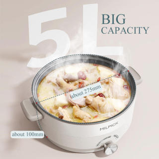 Electric Cooking Pot