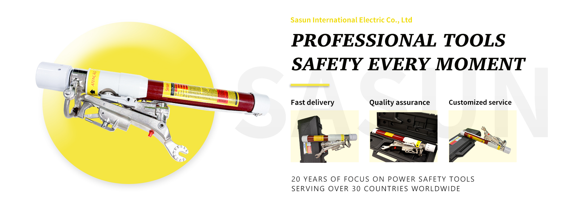 Sasun International Electric Co., Ltd,