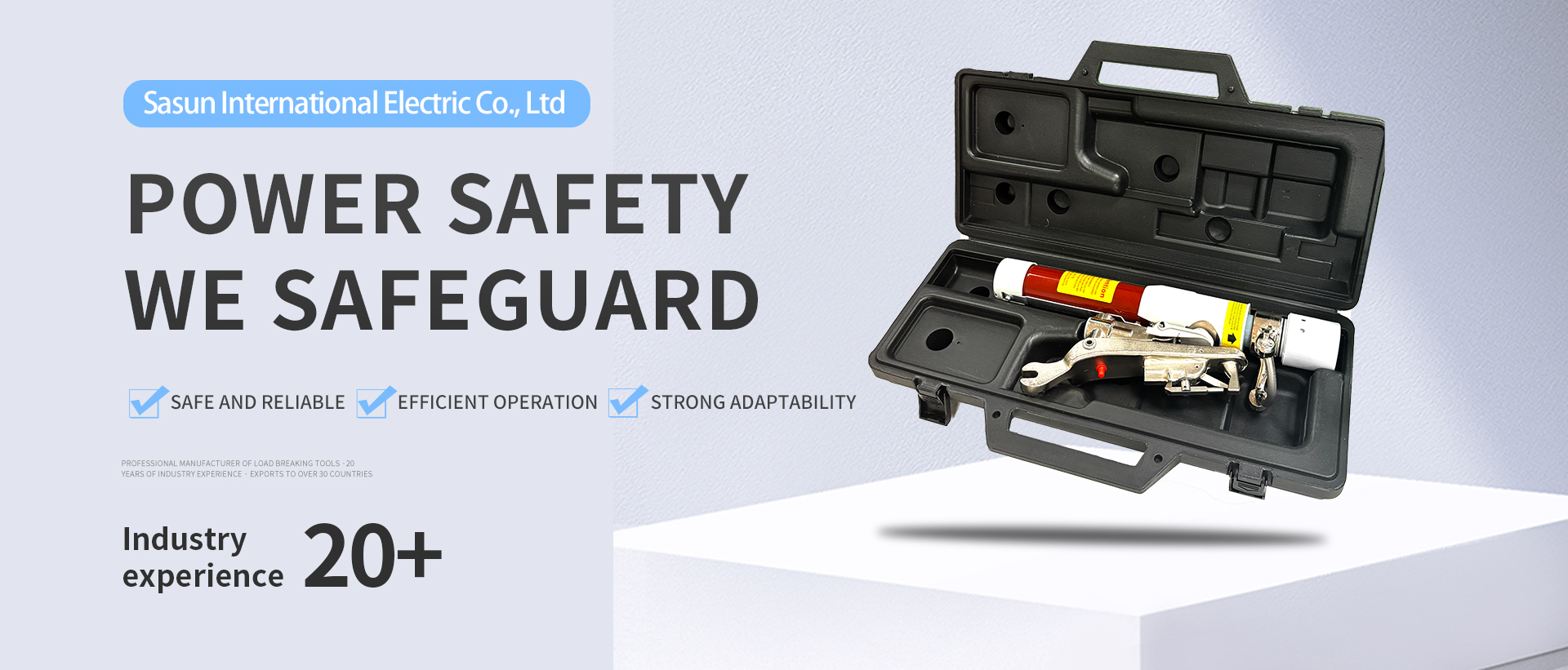 Sasun International Electric Co., Ltd,