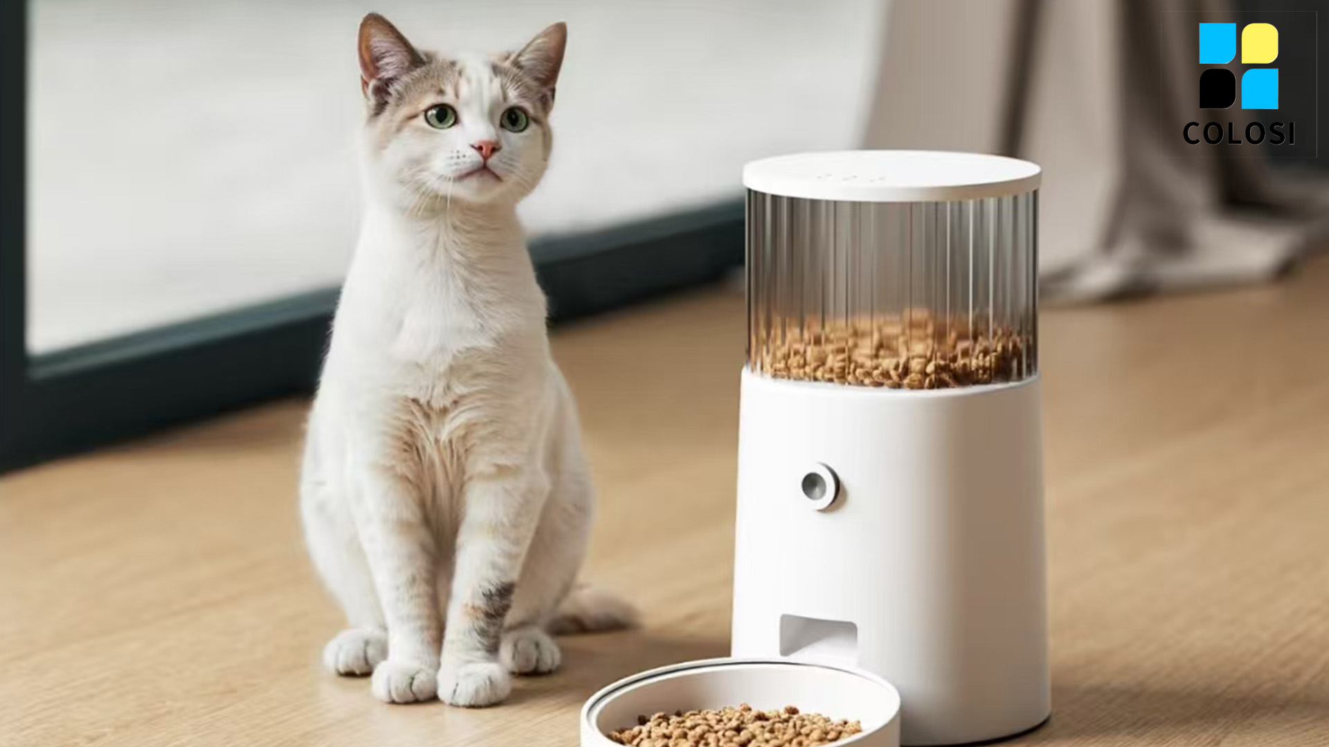 Pet automatic feeder