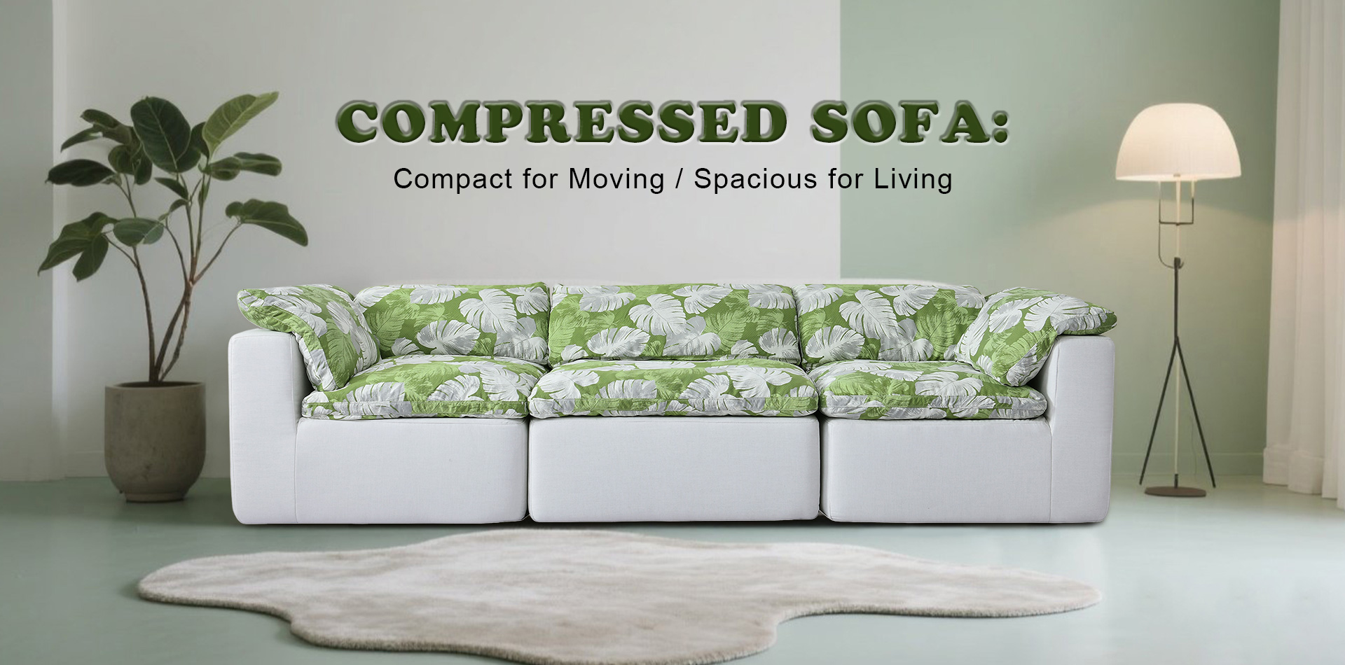 SereneHaven Development Co. Ltd.