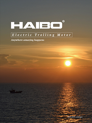 Haibo Motor Photos