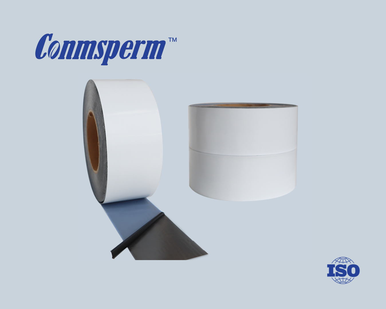 Datasheet(DP2002 Weather-resistant Polyester Composite Film Butyl Tape)