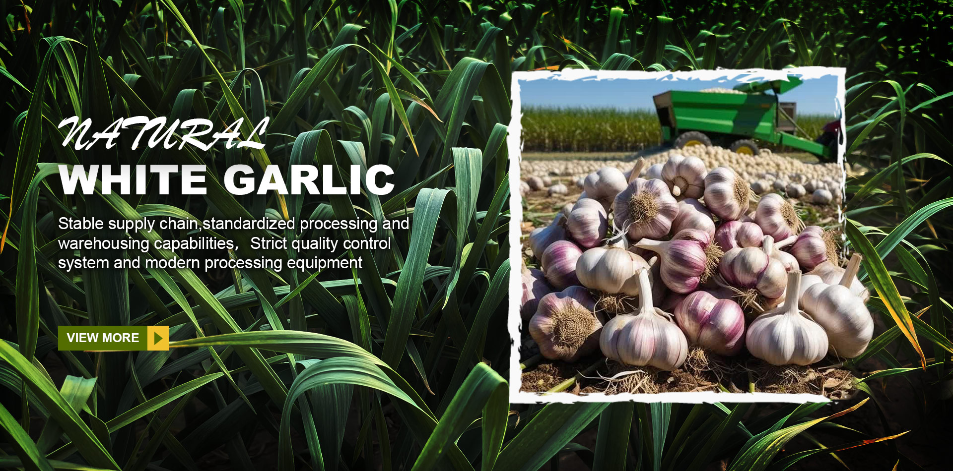 Xuzhou Shengxin Mingyue Import and Export Trade Co., Ltd