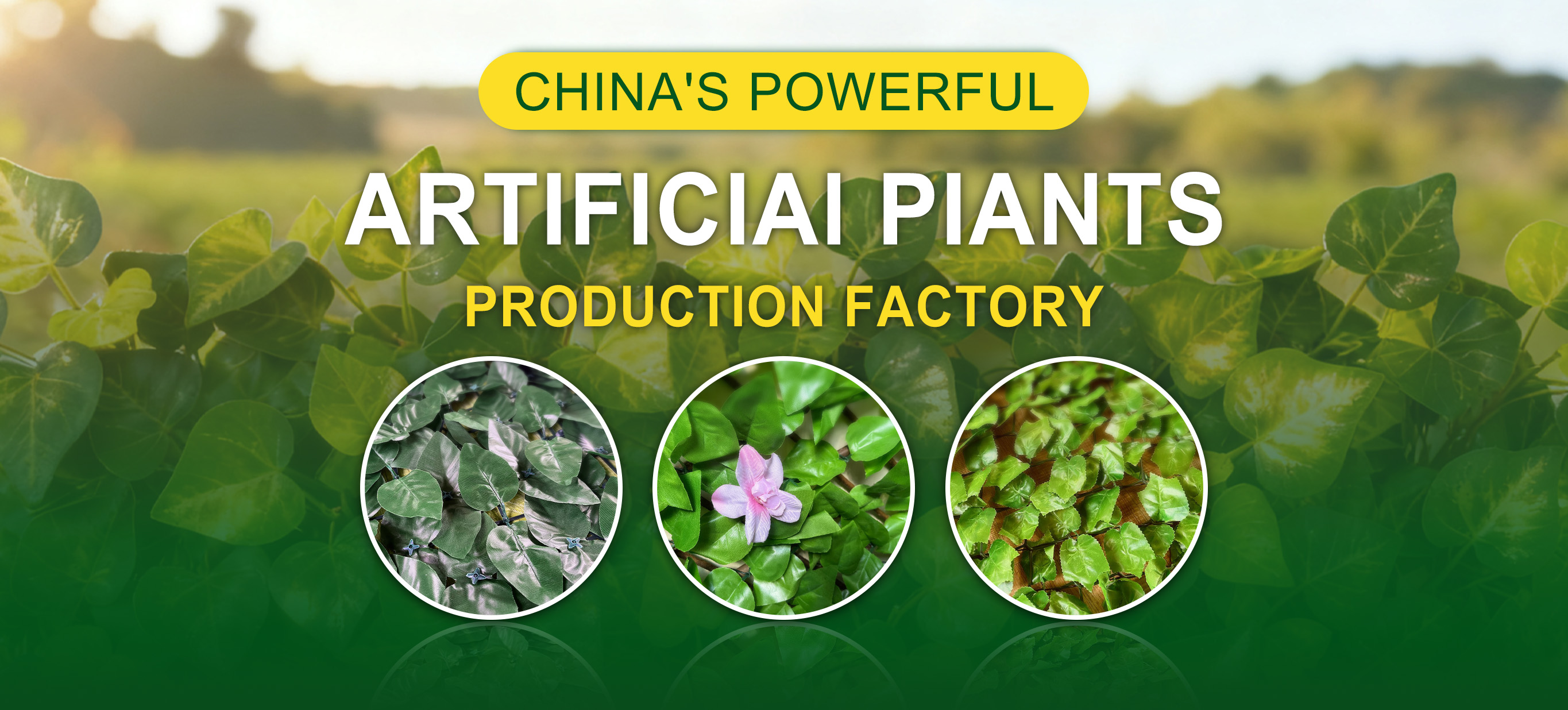 Suichang Huahui Tourism and Leisure Products Co., LTD