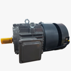 Sichuan Yibin Liyuan Electric Machinery Co.,Ltd