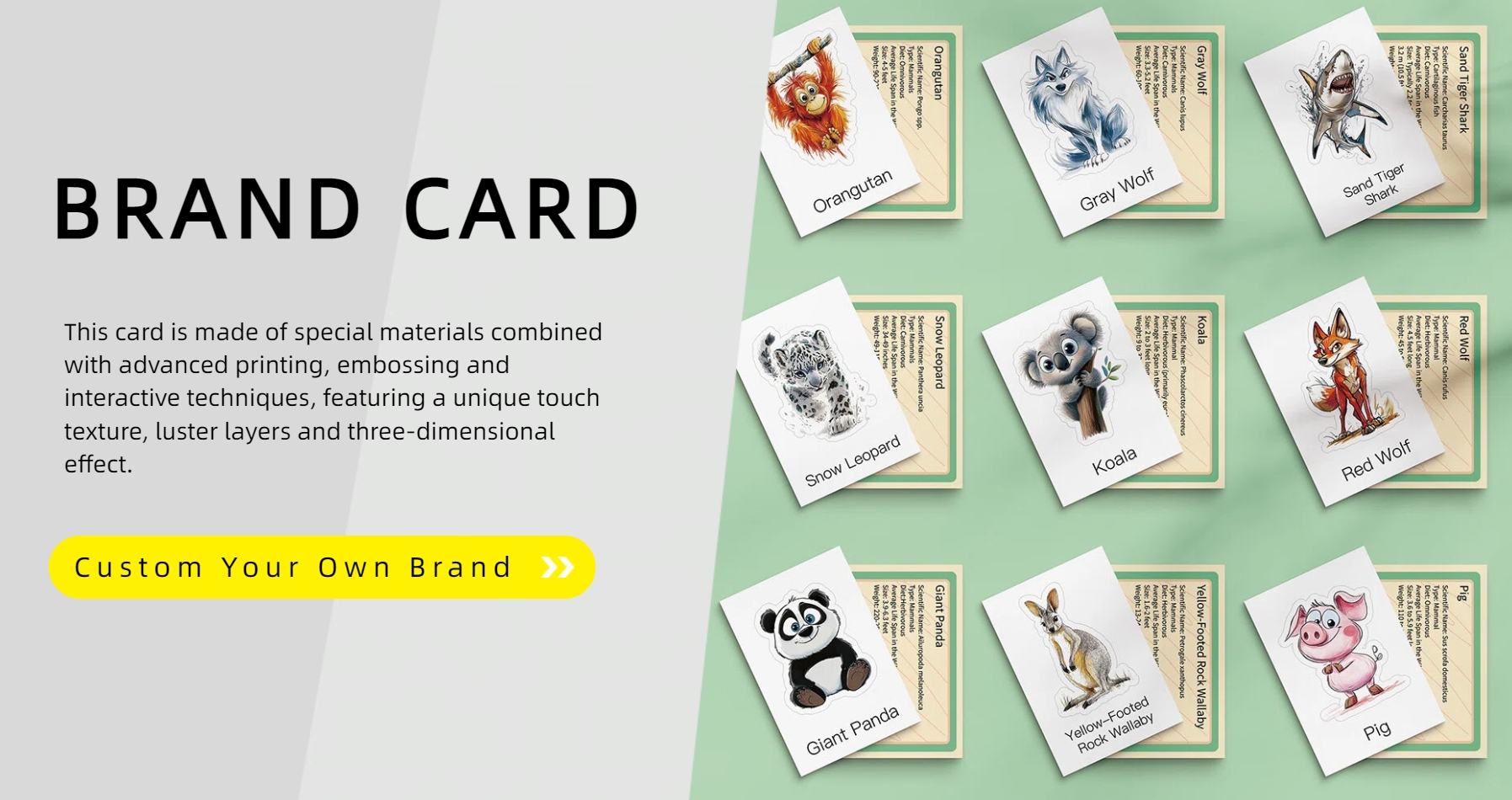 Taizhou Luqiao Enzuo Packaging Co., LTD