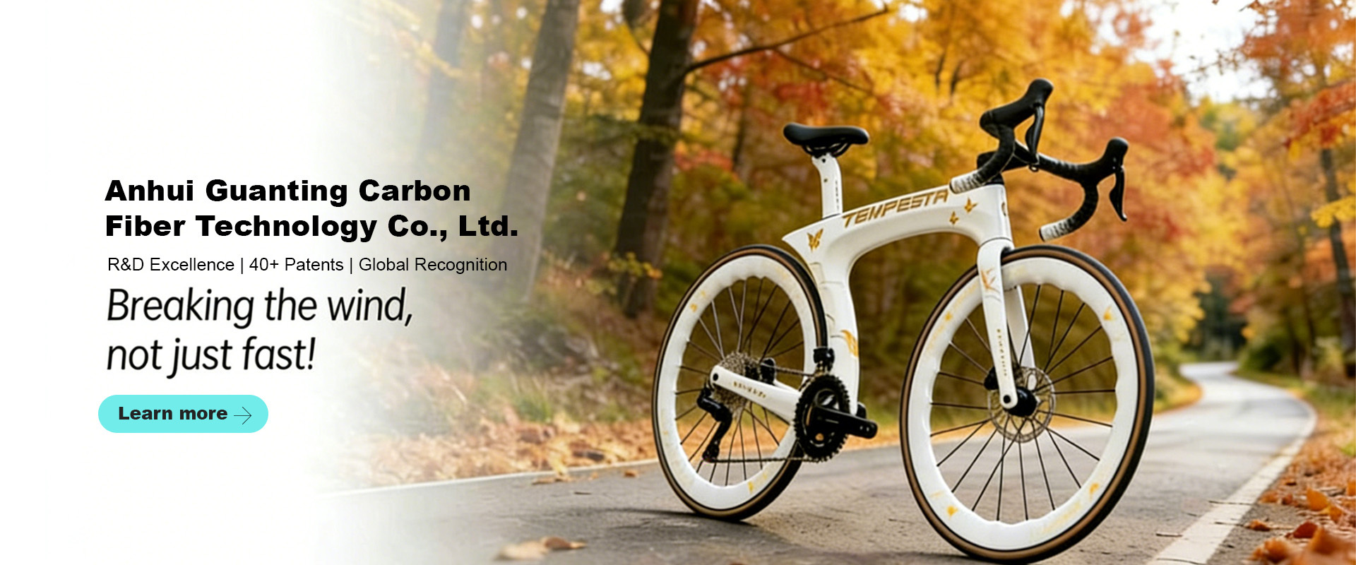 Anhui Guanting Carbon Fiber Technology Co., Ltd.