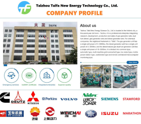 Taifa gas generator set Series and company introduction