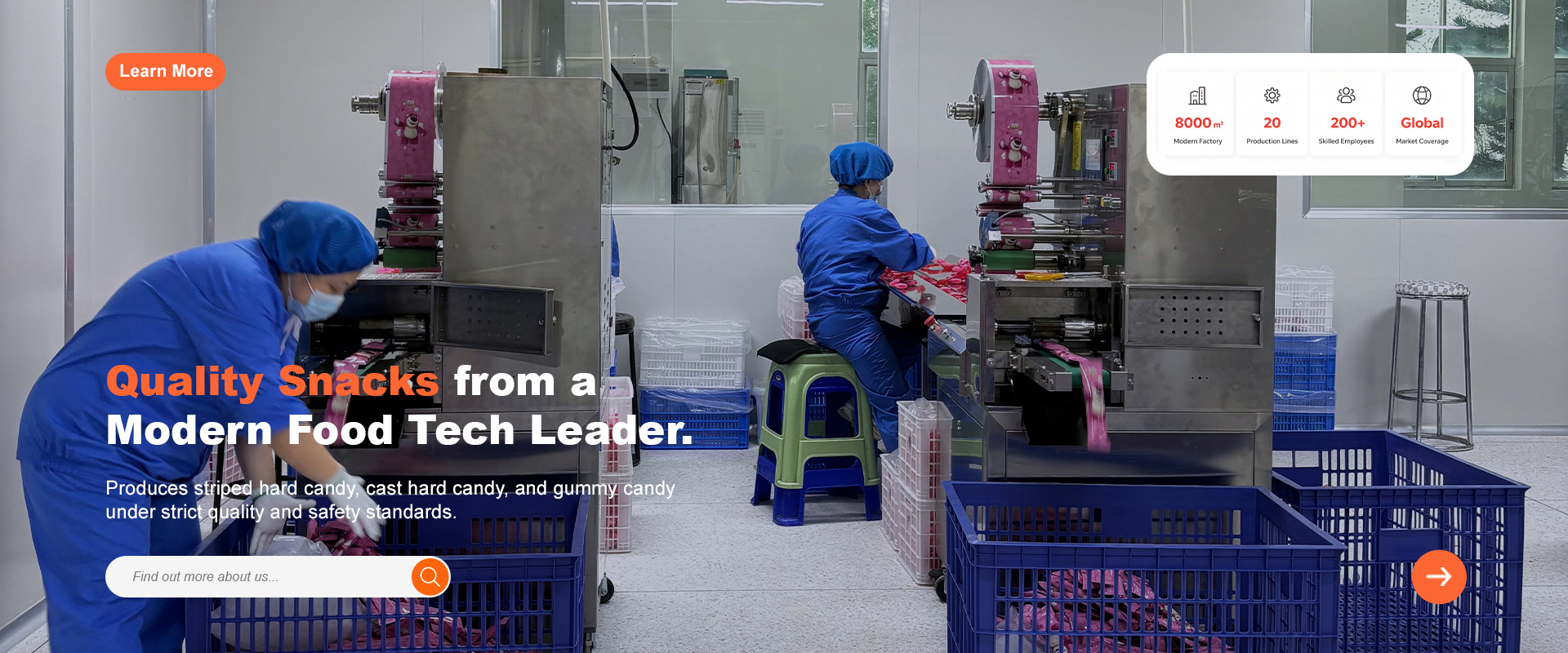 Guangdong Bailong Food Technology Co., Ltd.
