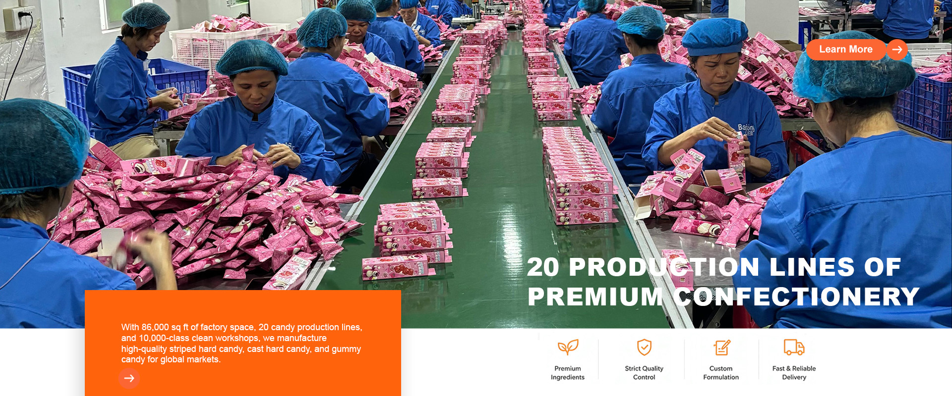Guangdong Bailong Food Technology Co., Ltd.