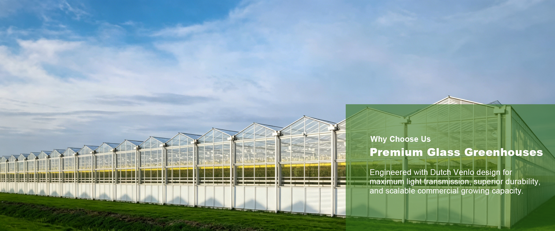 Henan Qincheng Agrotechnology Co., Ltd.