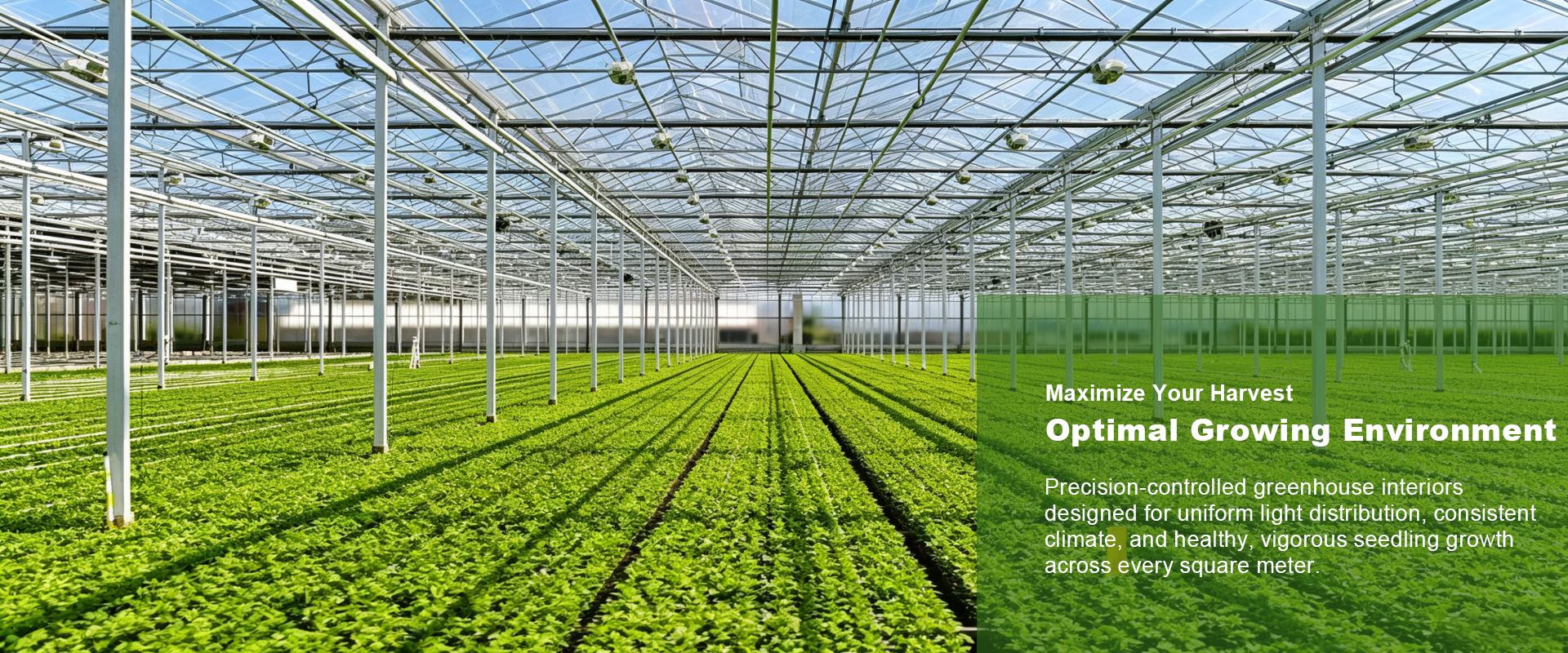Henan Qincheng Agrotechnology Co., Ltd.