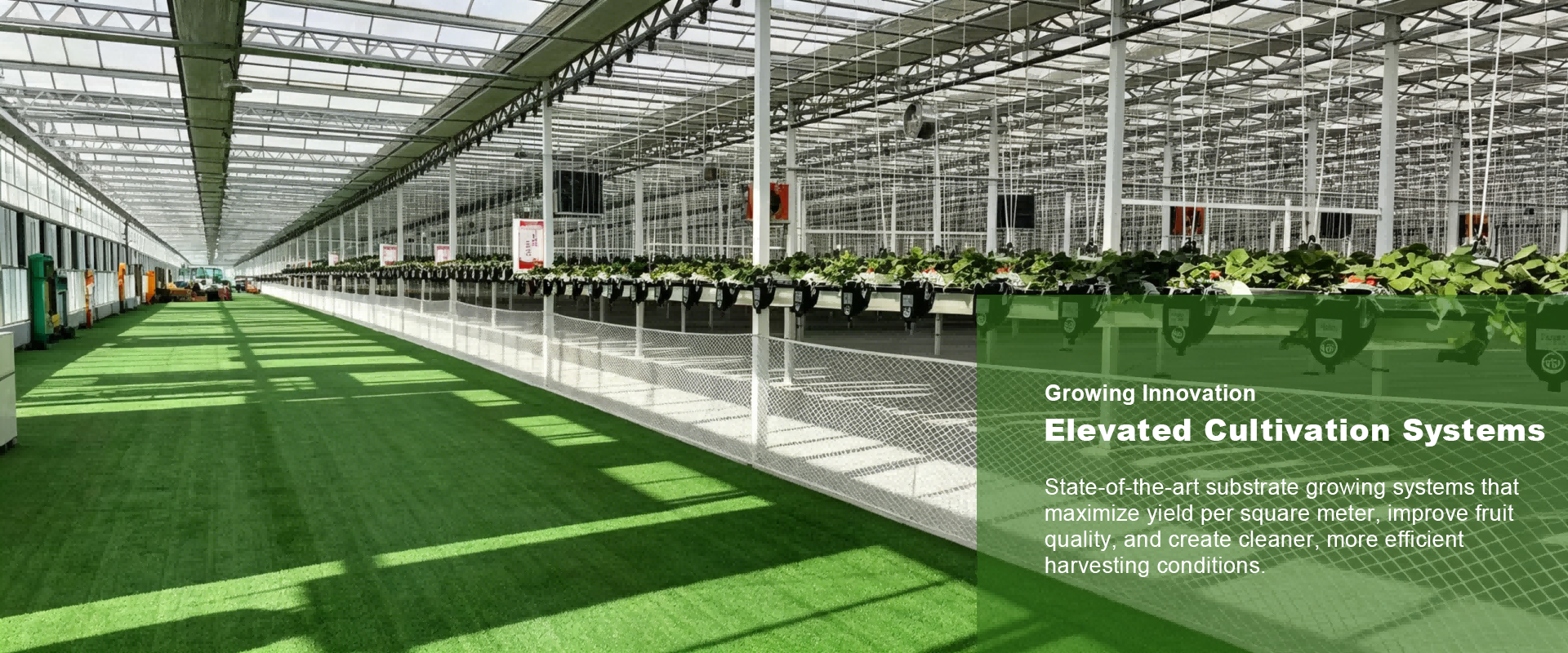 Henan Qincheng Agrotechnology Co., Ltd.