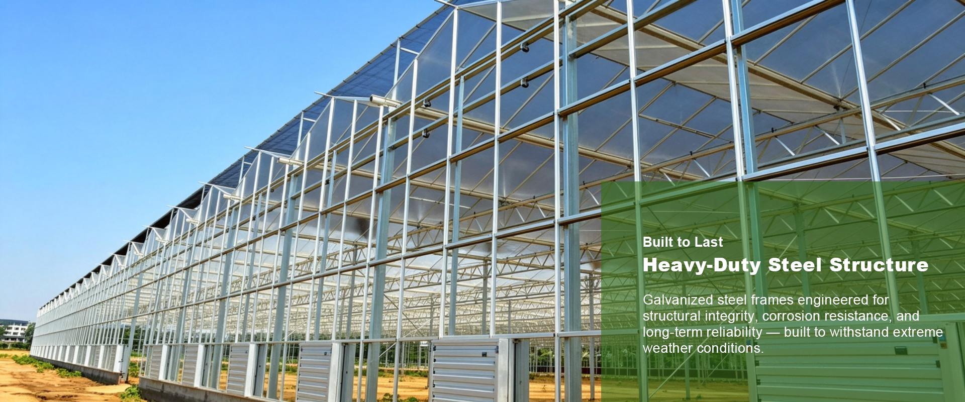 Henan Qincheng Agrotechnology Co., Ltd.