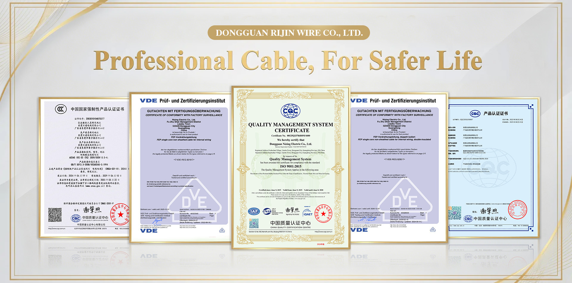 Dongguan Nizing Wire Co., Ltd.