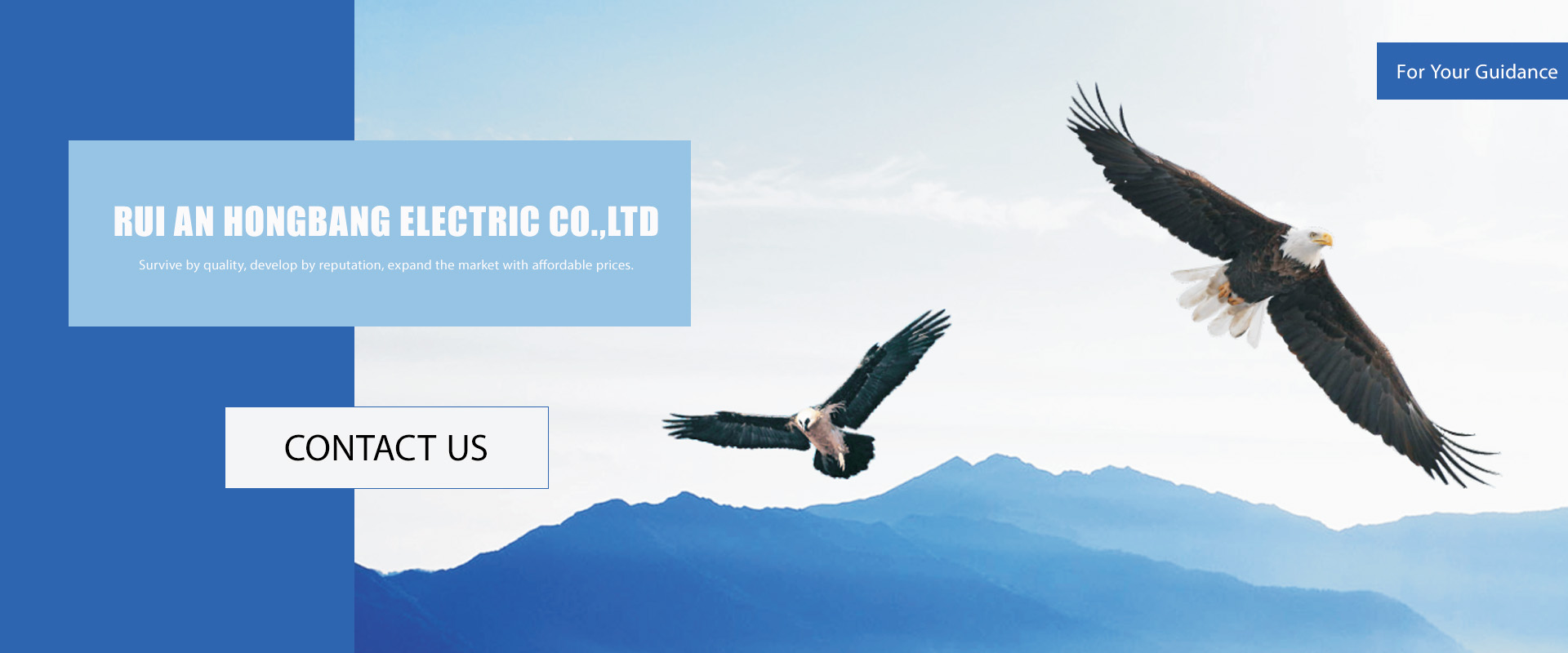 Rui an Hongbang Electric Co.,Ltd