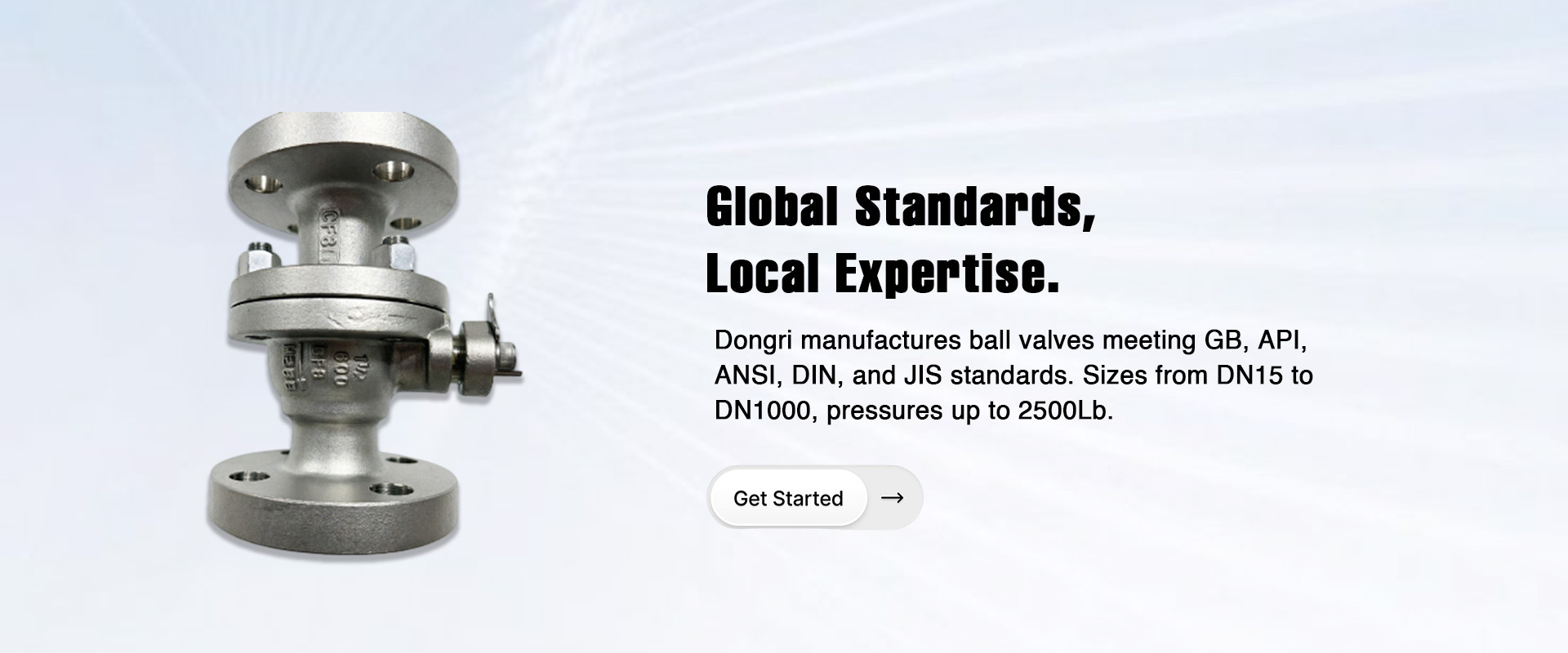 Zhejiang Dongri Valve Co., Ltd.