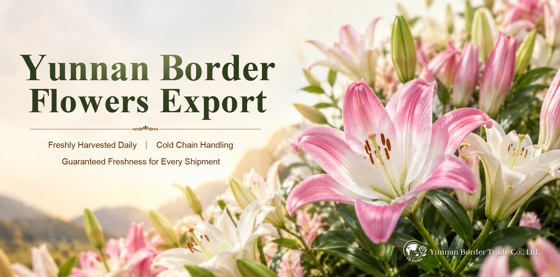 Yunnan Border Trade Co., Ltd.