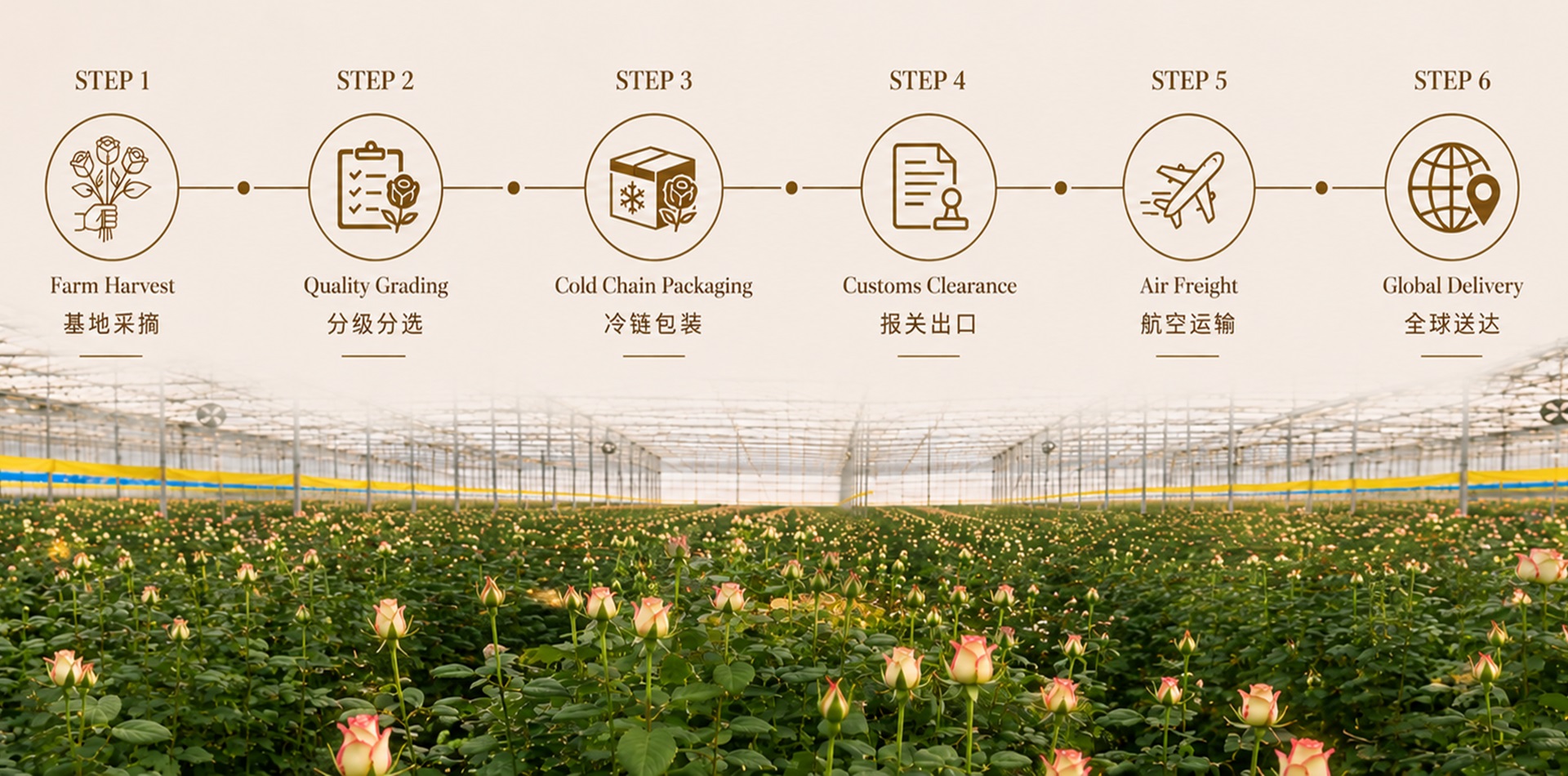 Yunnan Border Trade Co., Ltd.