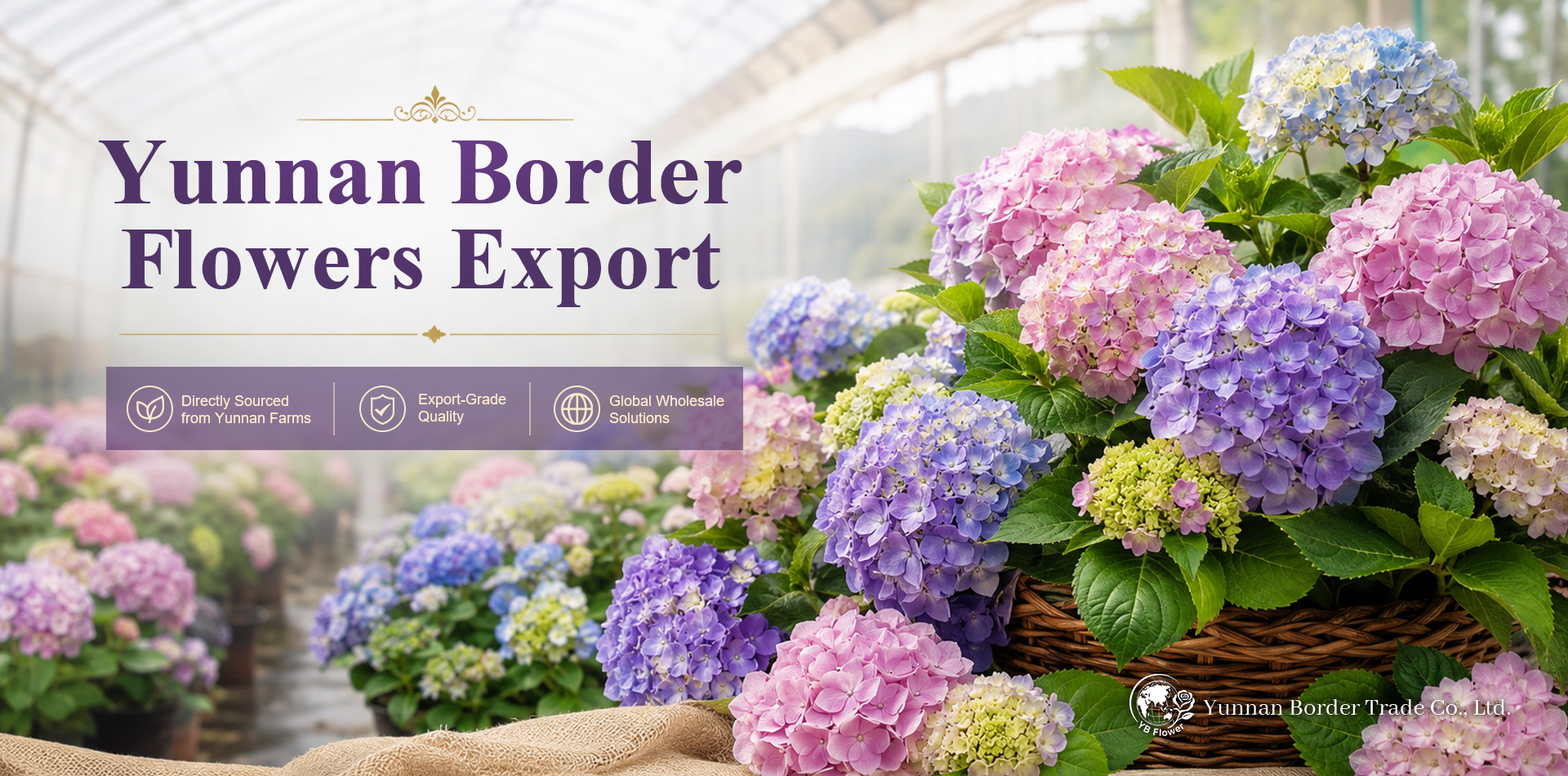 Yunnan Border Trade Co., Ltd.