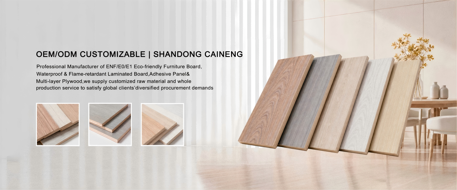 Shandong Caineng New Materials Technology Co., Ltd