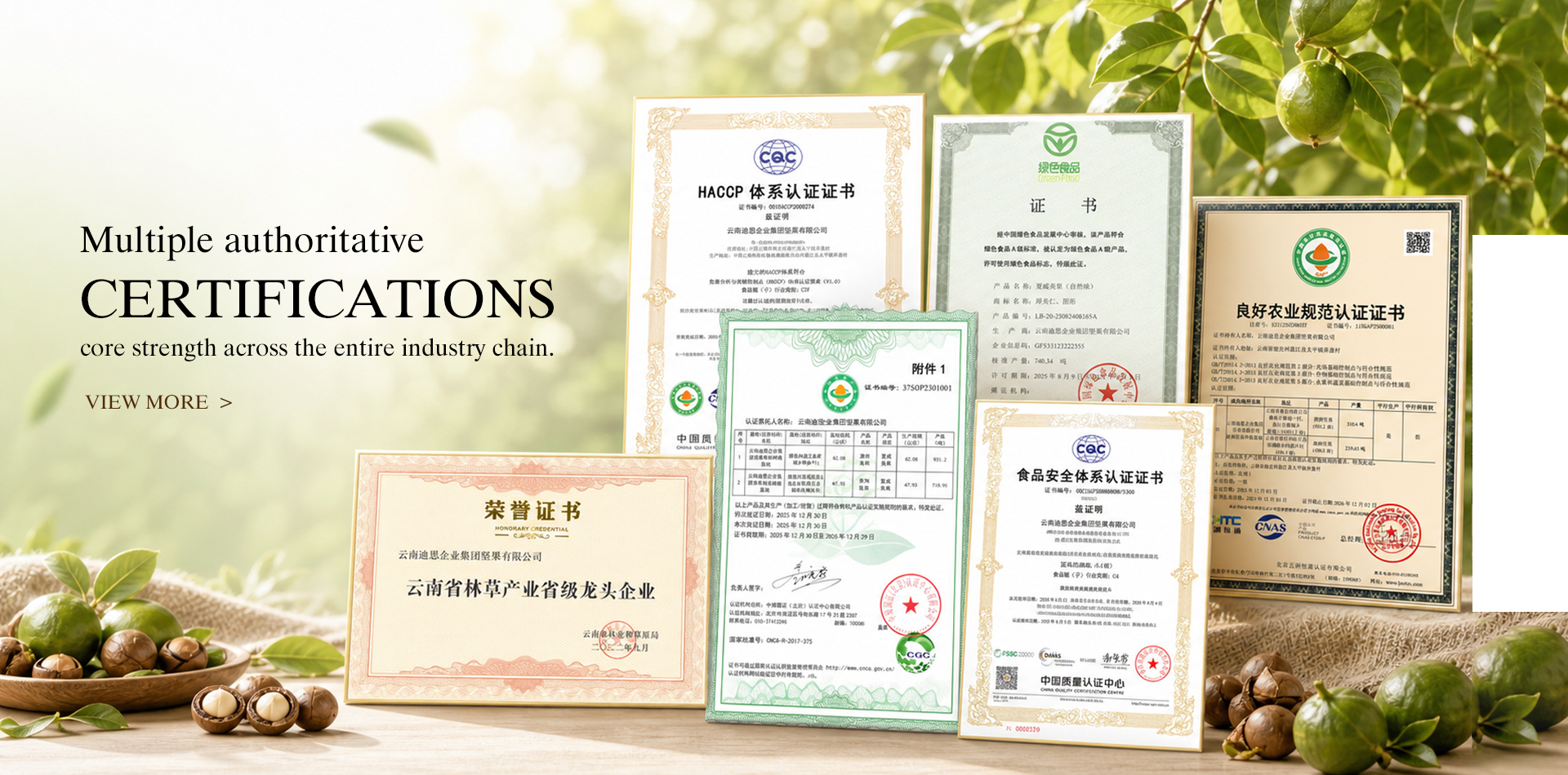 Yunnan Disi Enterprise Group Nut Co., Ltd