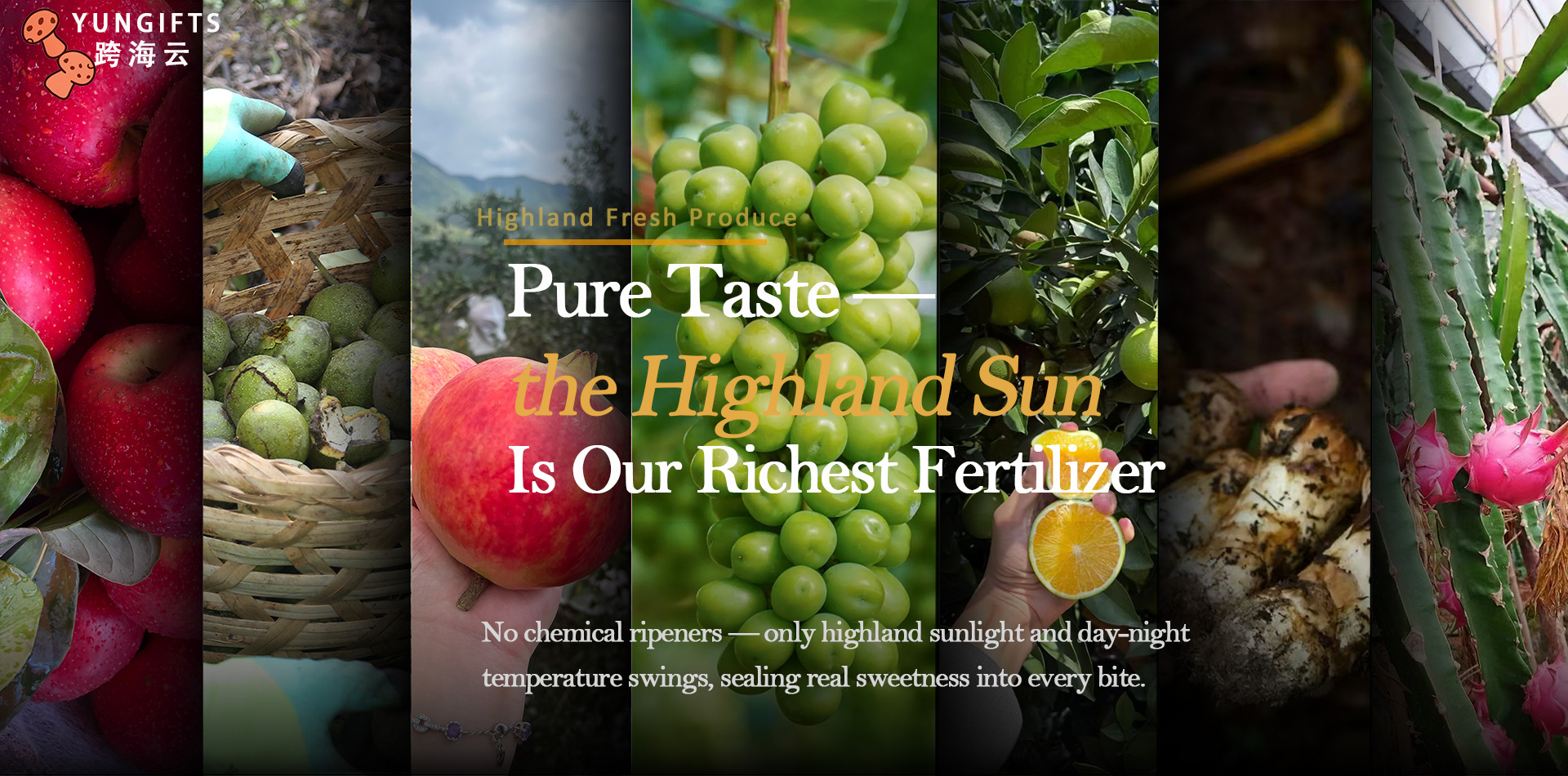Yunnan Cross-Sea Cloud Foreign Trade Service Co., Ltd