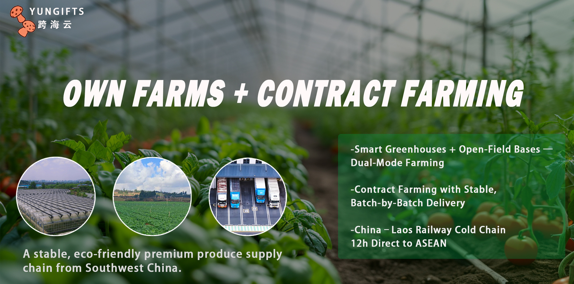 Yunnan Cross-Sea Cloud Foreign Trade Service Co., Ltd