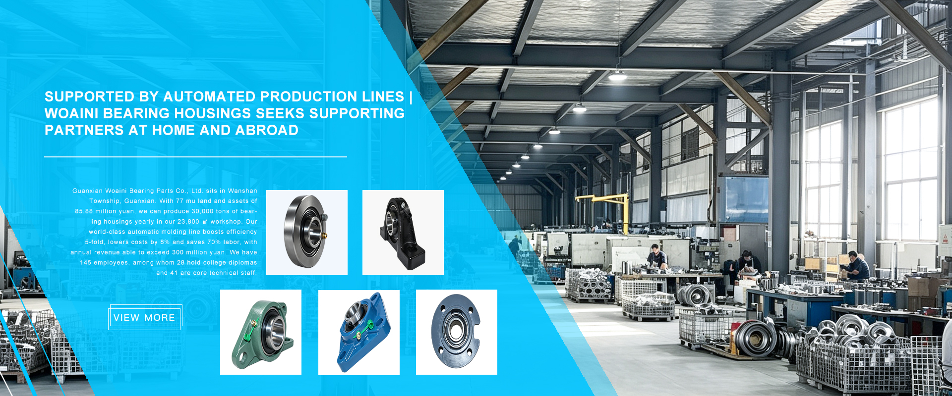 Guanxian Woaini Bearing Parts Co., Ltd.