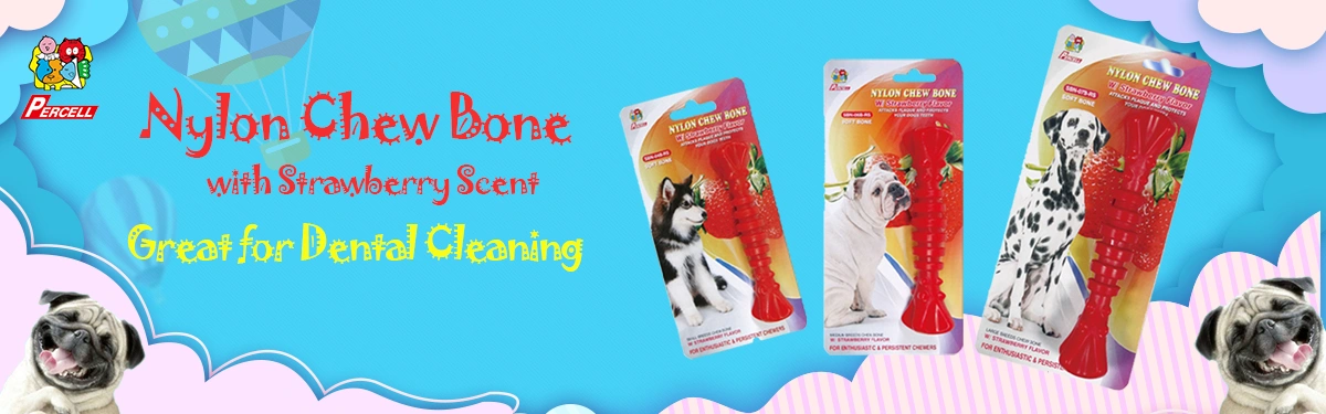 zoofari raised dog bed