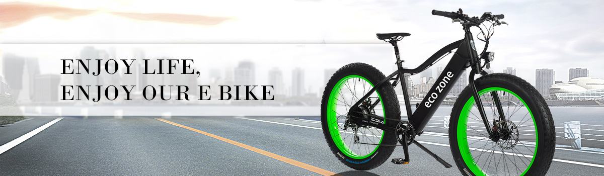 Eco zone electric bike sale