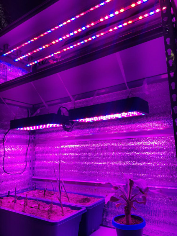 Electrical Testing Of Phlizon LED Grow Lights