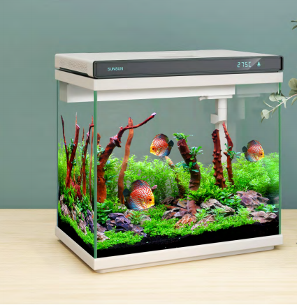 Small Fish Tank