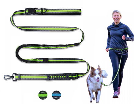 Dog Leashes