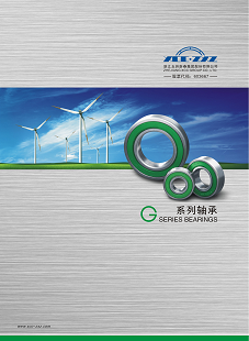 ZXZ G Series Bearings