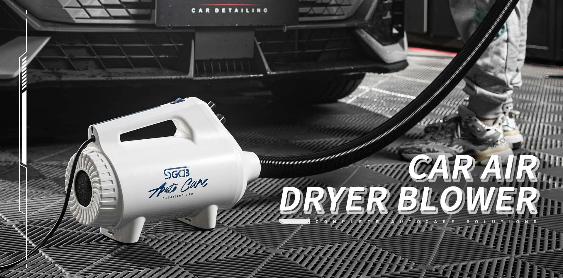 SGCB Pro Portable Steam Cleaner – SGCB AUTOCARE