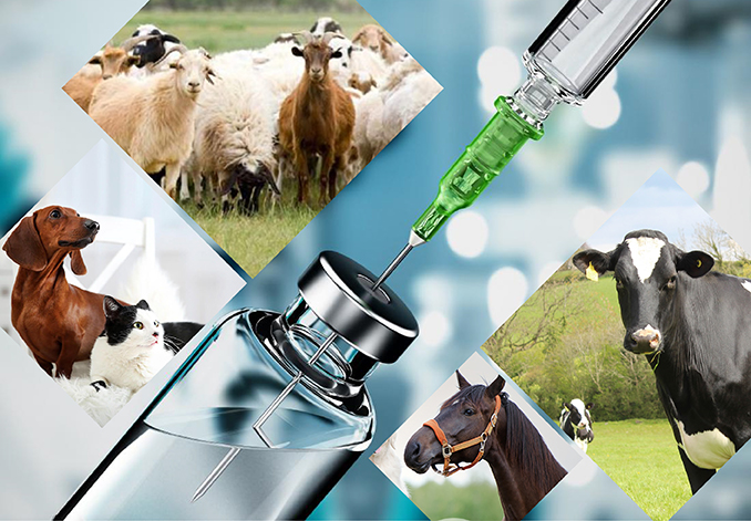 Veterinary Products