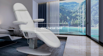 Lit facial électrique